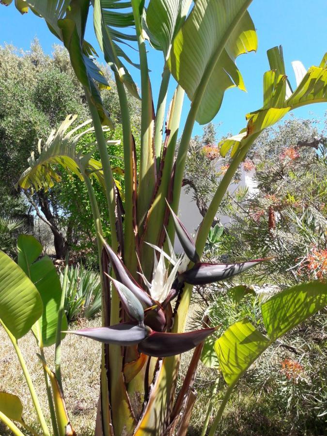 Finca Roca Vista, Adults Only Alhaurin el Grande Exterior photo